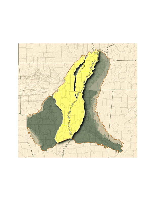Mississippi Alluvial Plain